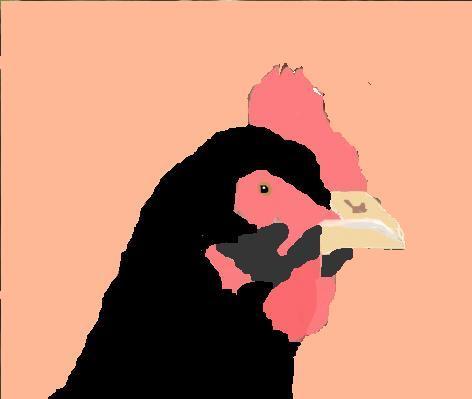 37829_black_hen.jpg