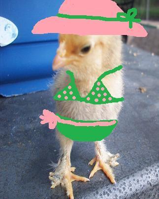 37902_bathing_suit.jpg
