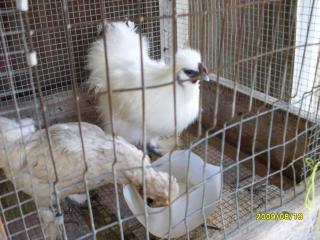 37963_new_pics_8-20_007.jpg