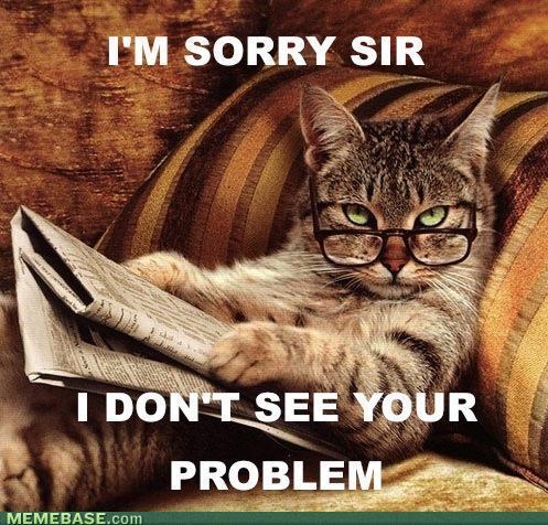 3796_lolcat-i-dont-see-your-problem.jpg