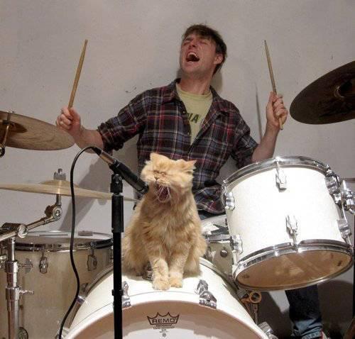3796_random-funny-photos-part-123_55.jpg