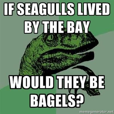 3796_seagulls_or_bagels.jpg