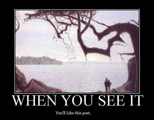 3796_whenyouseeit.jpg