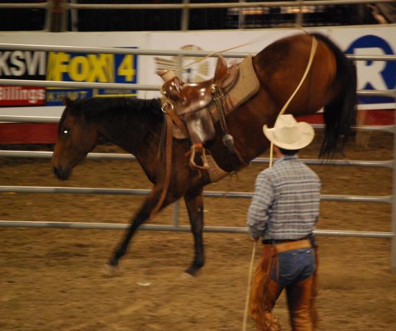 3798_dsc_0120.jpg