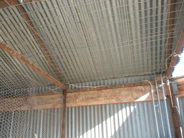 3798_dscn1227.jpg
