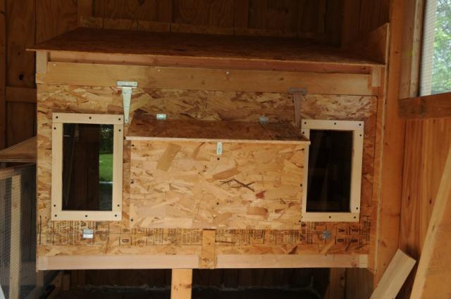 38106_front_of_roost_and_nesting_area.jpg
