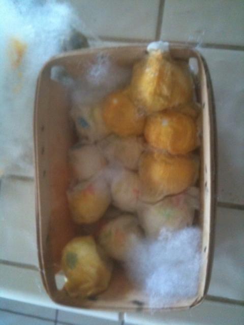 38124_photo_eggs-6.jpg