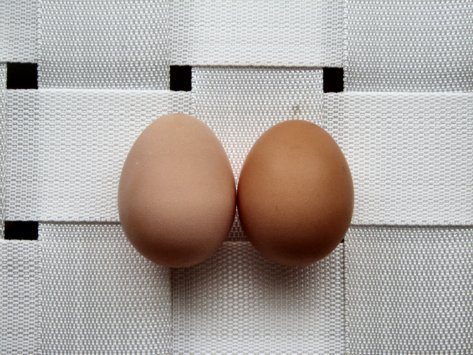 3812_two_eggs.jpg