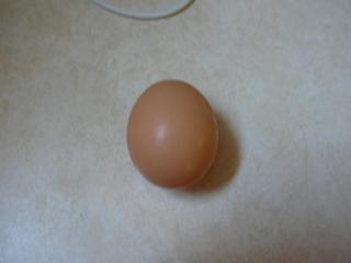 38137_first_egg.jpg