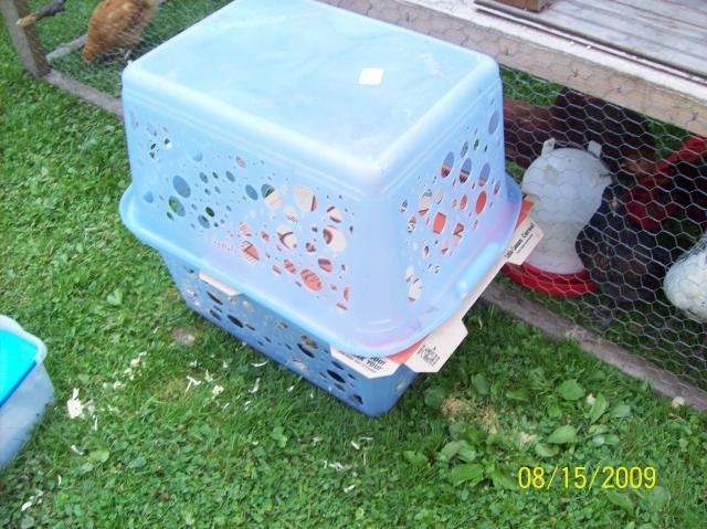 38142_100_0705.jpg