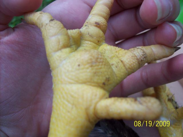 38142_100_0719.jpg