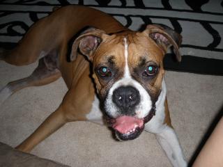 38176_beast_015.jpg