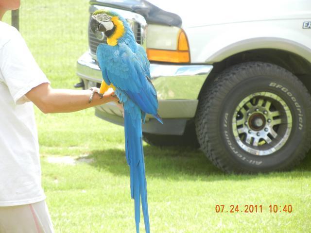 38176_buddy_003.jpg