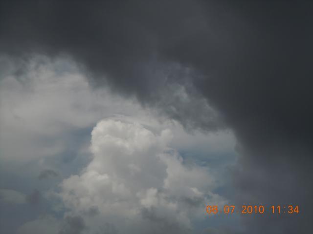 38176_random_004.jpg
