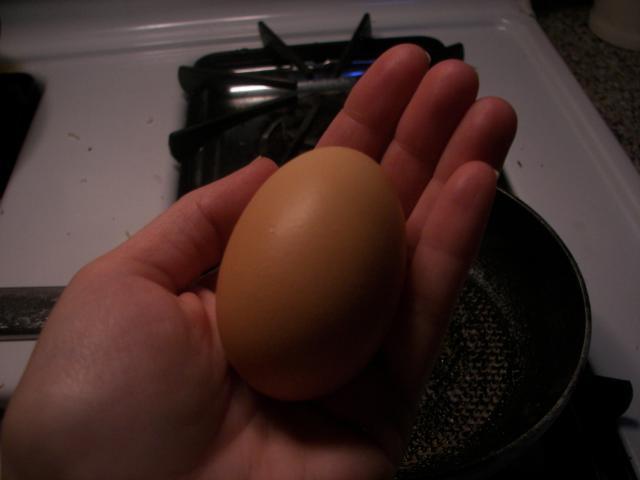 38644_big_egg.jpg