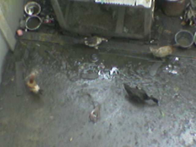38691_image013.jpg