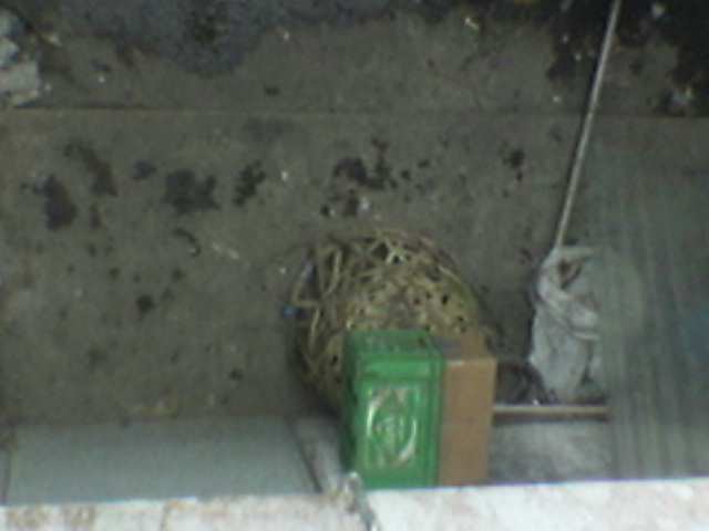 38691_image015.jpg