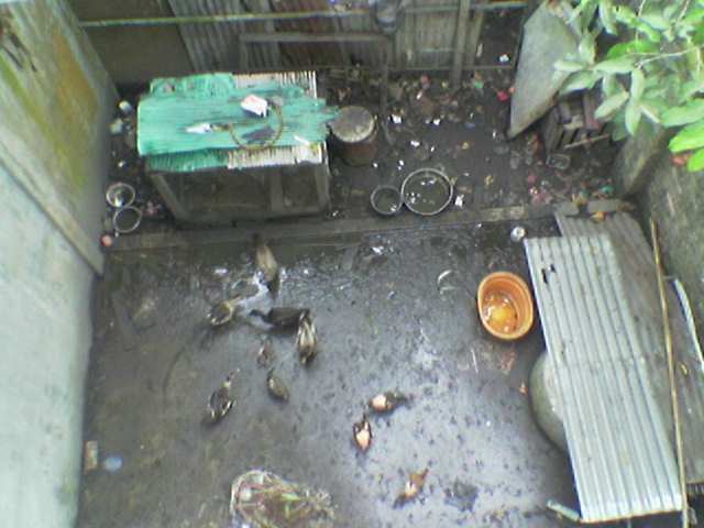 38691_image019.jpg