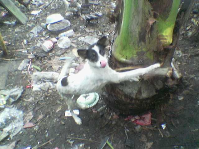 38691_image024.jpg