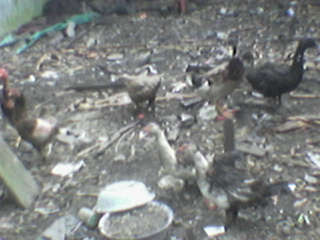 38691_image025.jpg