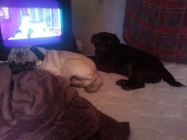 38795_2011-10-05_220757.jpg