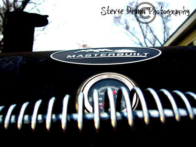 38795_copy_of_springeditwatermark.jpg