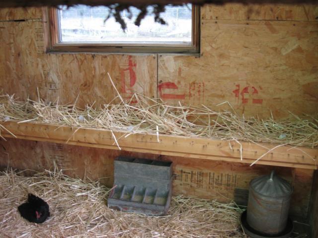 38827_img_0310.jpg