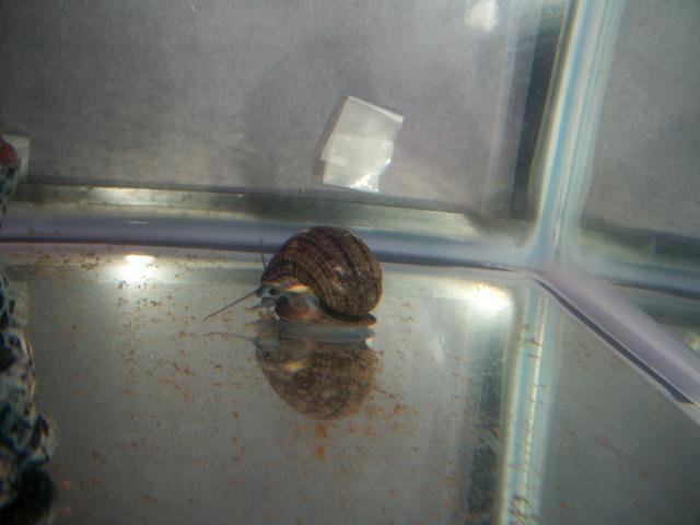 38859_100_0709.jpg