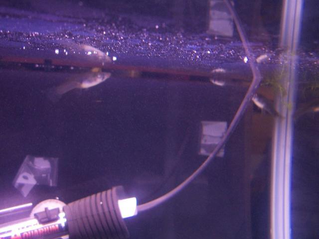 38859_100_0711.jpg