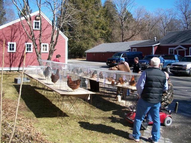 38859_100_2735_00.jpg