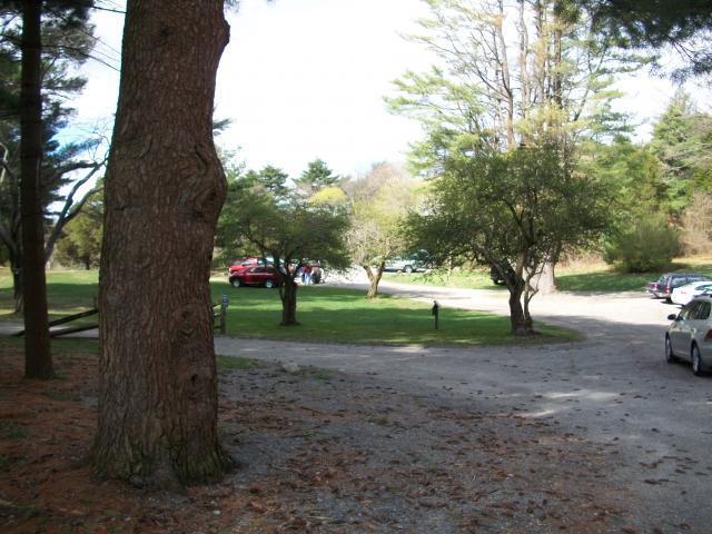 38859_100_3451.jpg