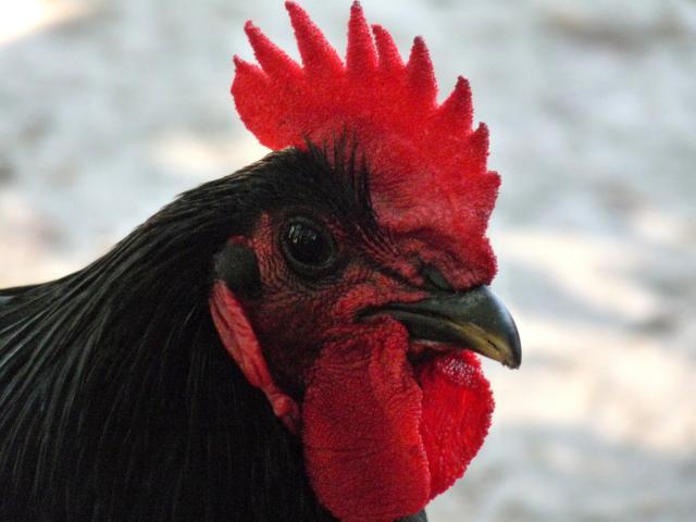 3891_009.jpg