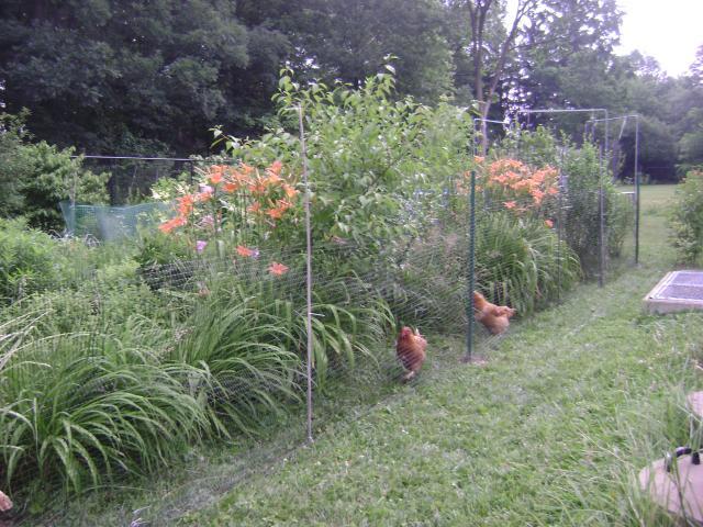 38921_053.jpg