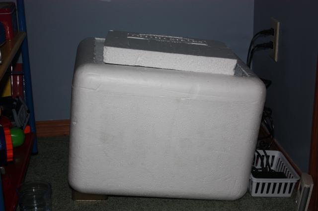 38935_img_5204.jpg