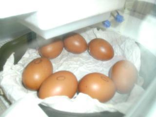 38939_pic_133.jpg