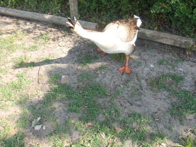 38953_2009_10140191.jpg