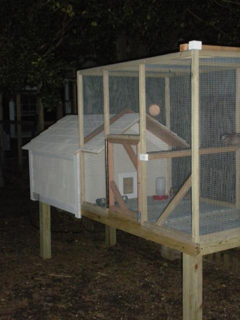 39028_quail_coop_007.jpg