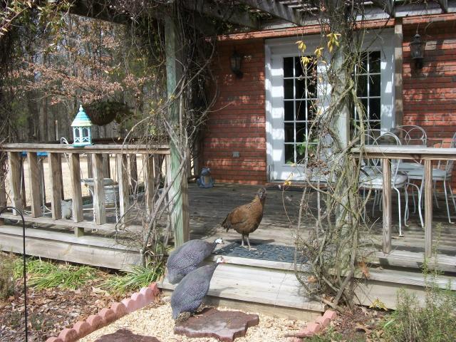 39372_100_0809.jpg