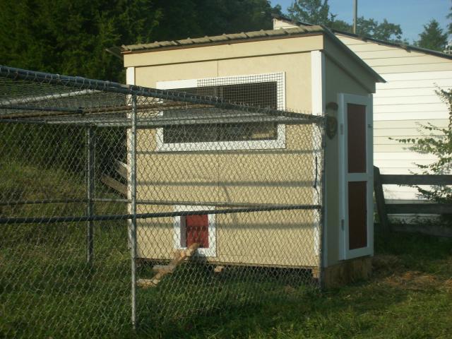 39403_dsci0182.jpg