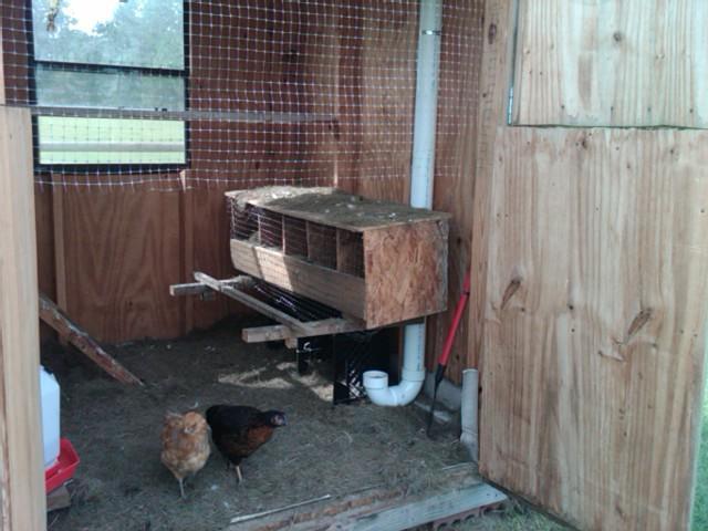 Coop Insulation Question  BackYard Chickens - Learn How to Raise
