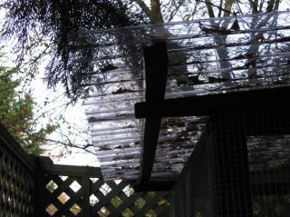 39492_img_1914.jpg