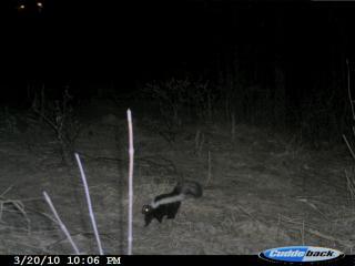 39599_cudde_3-20-10_002.jpg