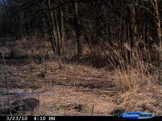 39599_cudde_march_22_-_27_004.jpg