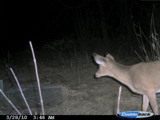 39599_cudde_march_22_-_27_014.jpg