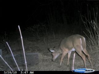 39599_cudde_march_22_-_27_015.jpg