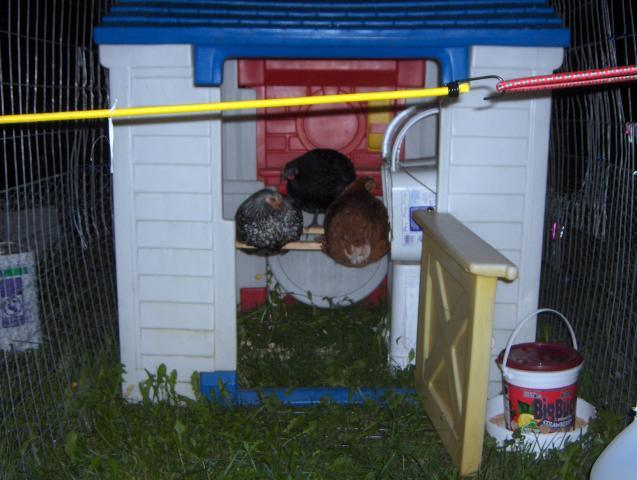 39605_hpim9206.jpg