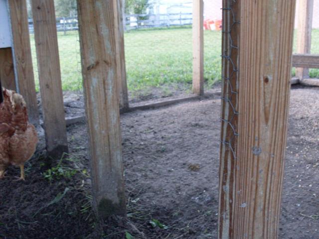 39609_sdc10104.jpg