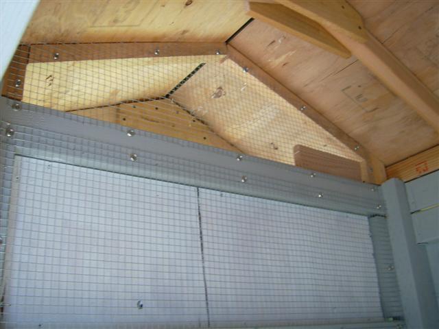 39619_inside_hen_house_before_paint_on_the_opposite_side.jpg