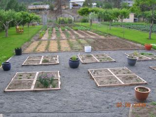 39800_backyard10.jpg