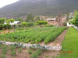 39800_backyard15.jpg